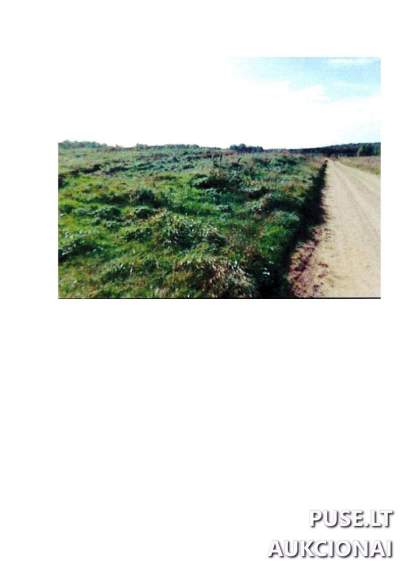 4.94 ha žemės ūkio paskirties sklypas Prienų rajone, Intuponių kaime, pradinė kaina 13140 EUR