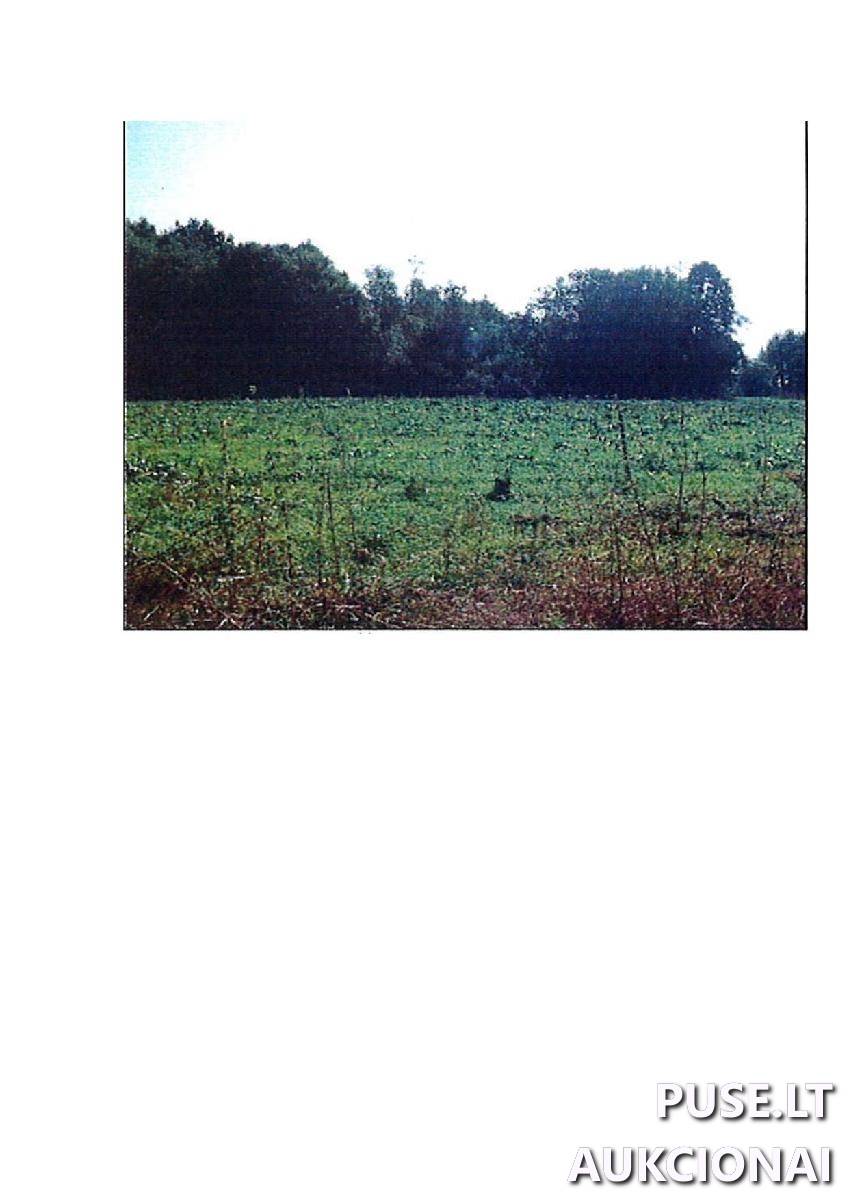 Žemės sklypas Sklypai Rodomislė, Stakliškių sen., Prienų r. sav. 4