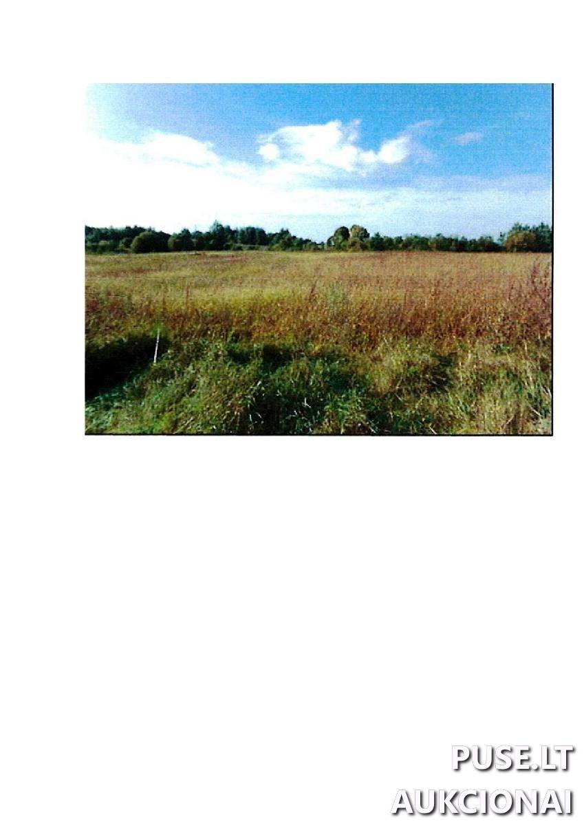 Žemės sklypas Sklypai Intuponys, Stakliškių sen., Prienų r. sav. 2