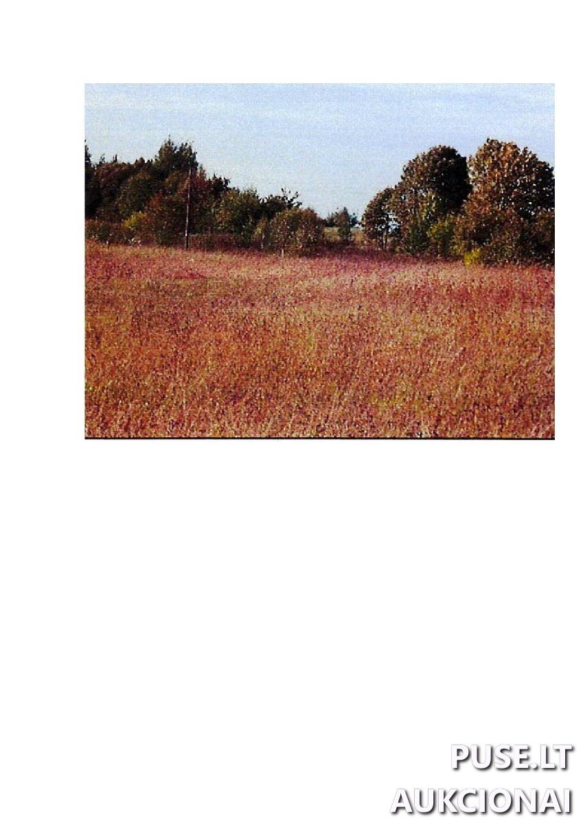 Žemės sklypas Sklypai Intuponys, Stakliškių sen., Prienų r. sav. 3