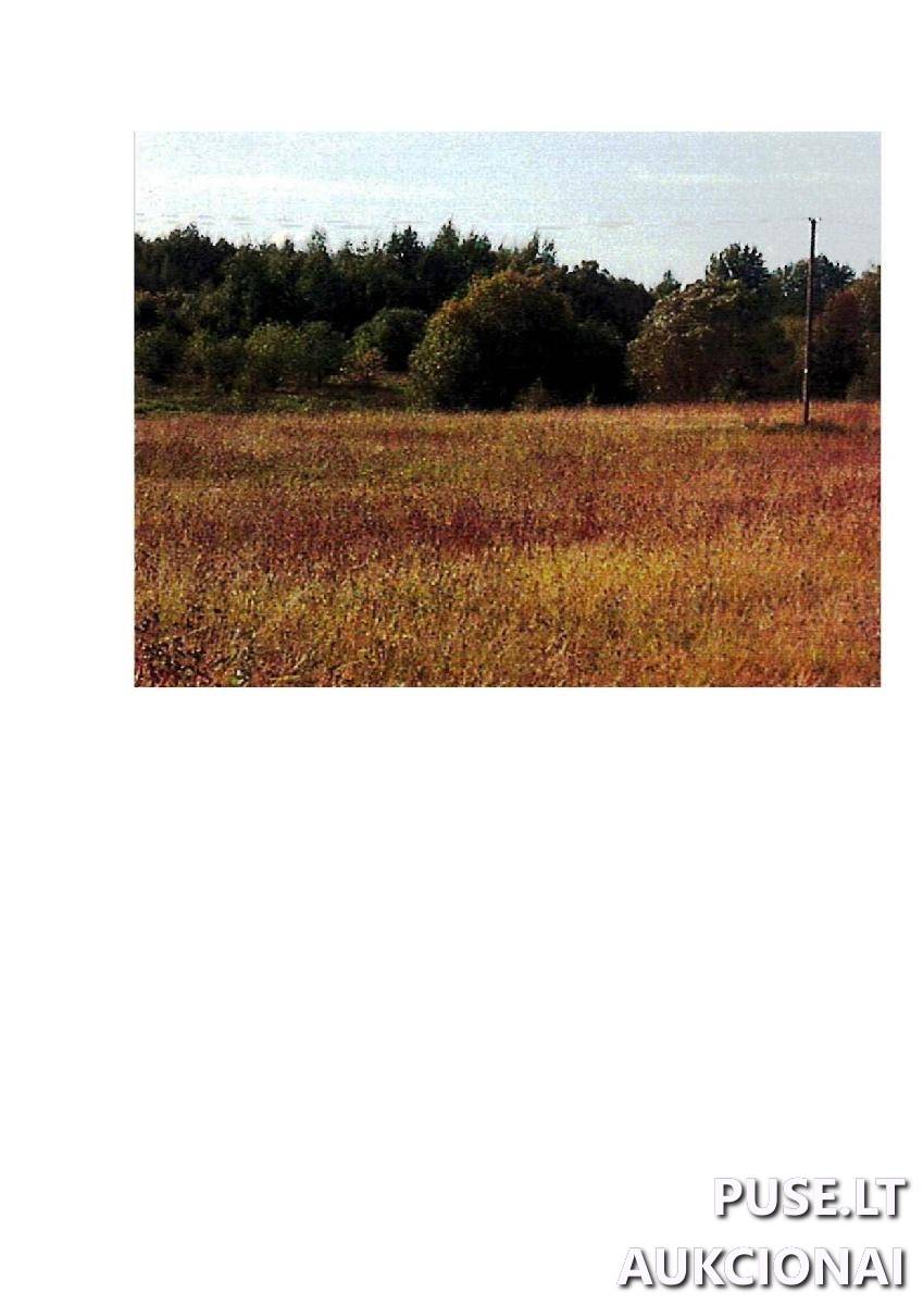 Žemės sklypas Sklypai Intuponys, Stakliškių sen., Prienų r. sav. 4