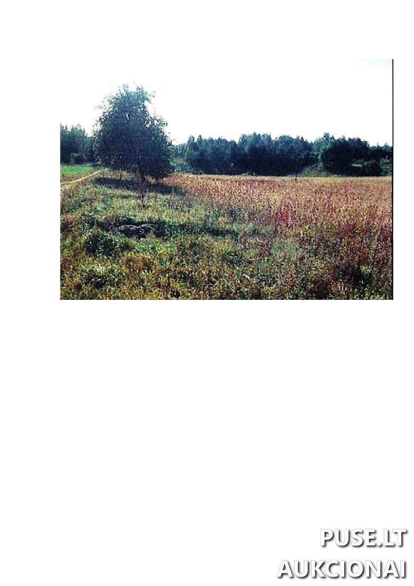 Žemės sklypas Sklypai Intuponys, Stakliškių sen., Prienų r. sav. 7