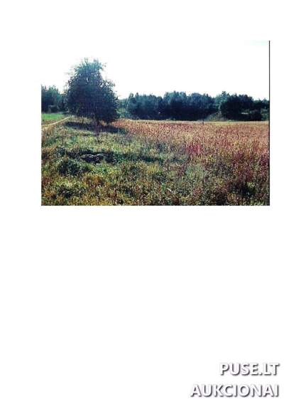 1,9259 ha žemės ūkio sklypas Prienų rajone, Intuponių kaime, pradinė kaina 3660 EUR