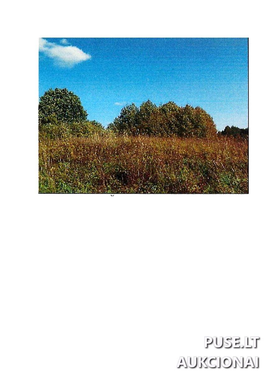 Žemės sklypas Sklypai Intuponys, Stakliškių sen., Prienų r. sav. 2