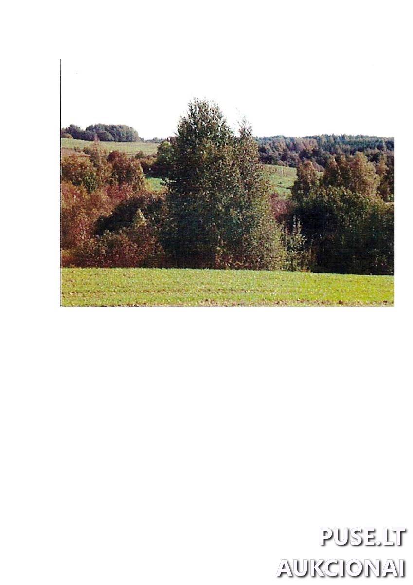 Žemės sklypas Sklypai Intuponys, Stakliškių sen., Prienų r. sav. 6