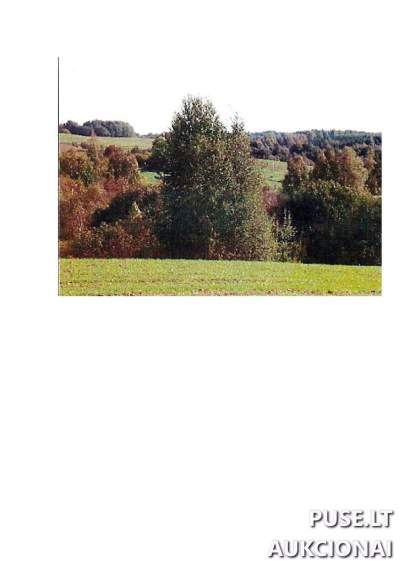 Žemės ūkio paskirties sklypas Prienų rajone, Intuponių kaime, 25.72 ha, pradinė kaina 51360 EUR