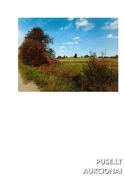 Žemės ūkio paskirties sklypas Prienų rajone, Palapiškių kaime, 5.09 ha, pradinė kaina 12960 EUR