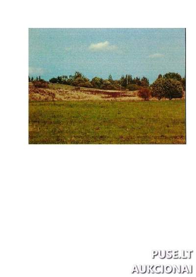 Žemės ūkio paskirties sklypas Prienų rajone, Intuponių kaime, 13020 EUR pradinė kaina