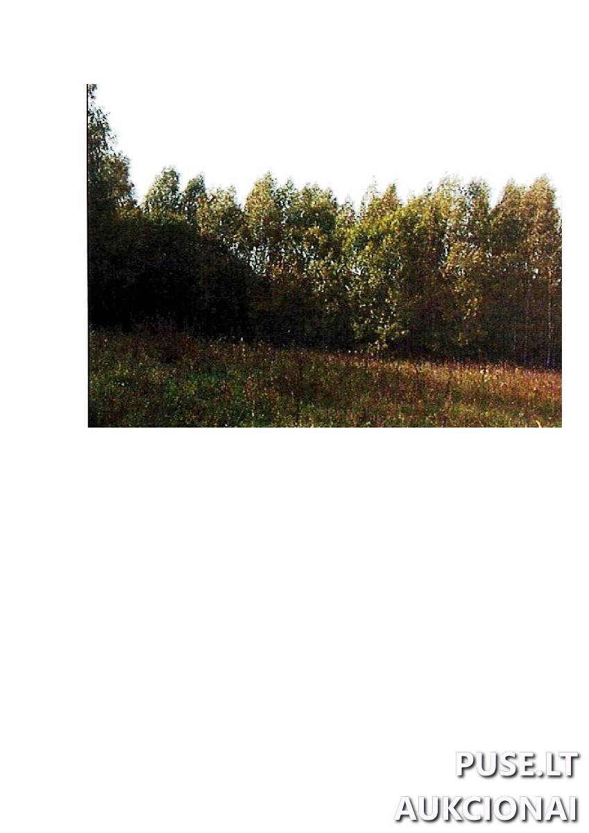 Žemės sklypas Sklypai Giriotiškės, Stakliškių sen., Prienų r. sav. 2
