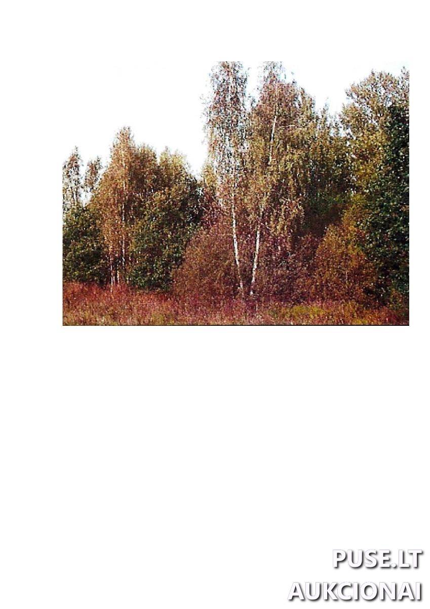 Žemės sklypas Sklypai Giriotiškės, Stakliškių sen., Prienų r. sav. 3