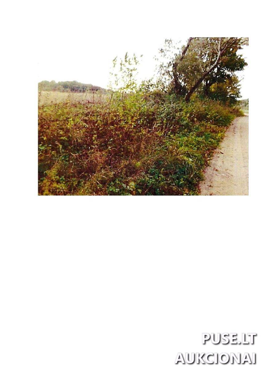 Žemės sklypas Sklypai Rodomislė, Stakliškių sen., Prienų r. sav. 1