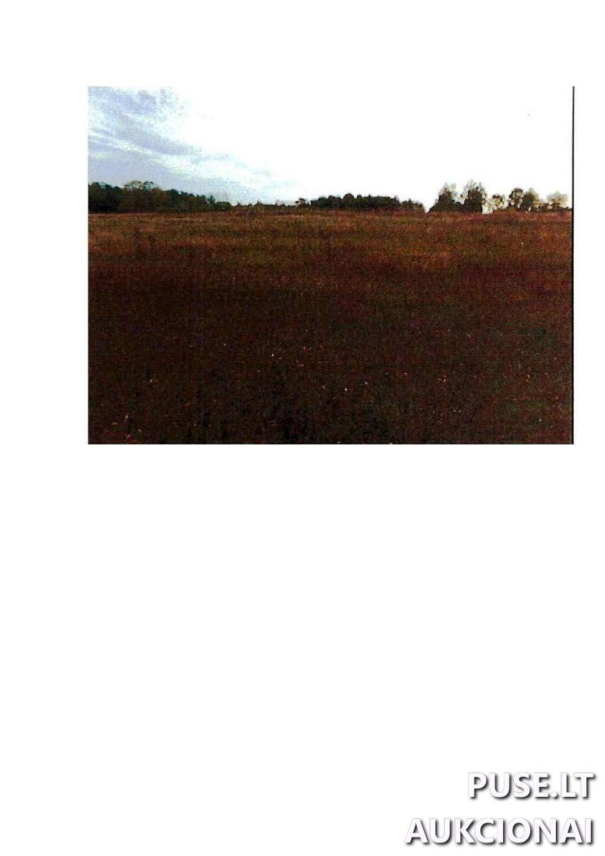 Žemės sklypas Sklypai Rodomislė, Stakliškių sen., Prienų r. sav. 2