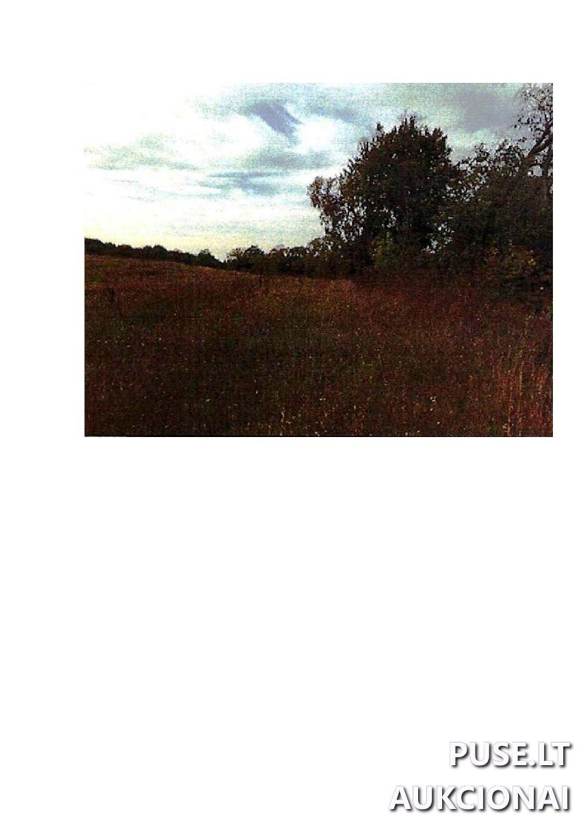 Žemės sklypas Sklypai Rodomislė, Stakliškių sen., Prienų r. sav. 4