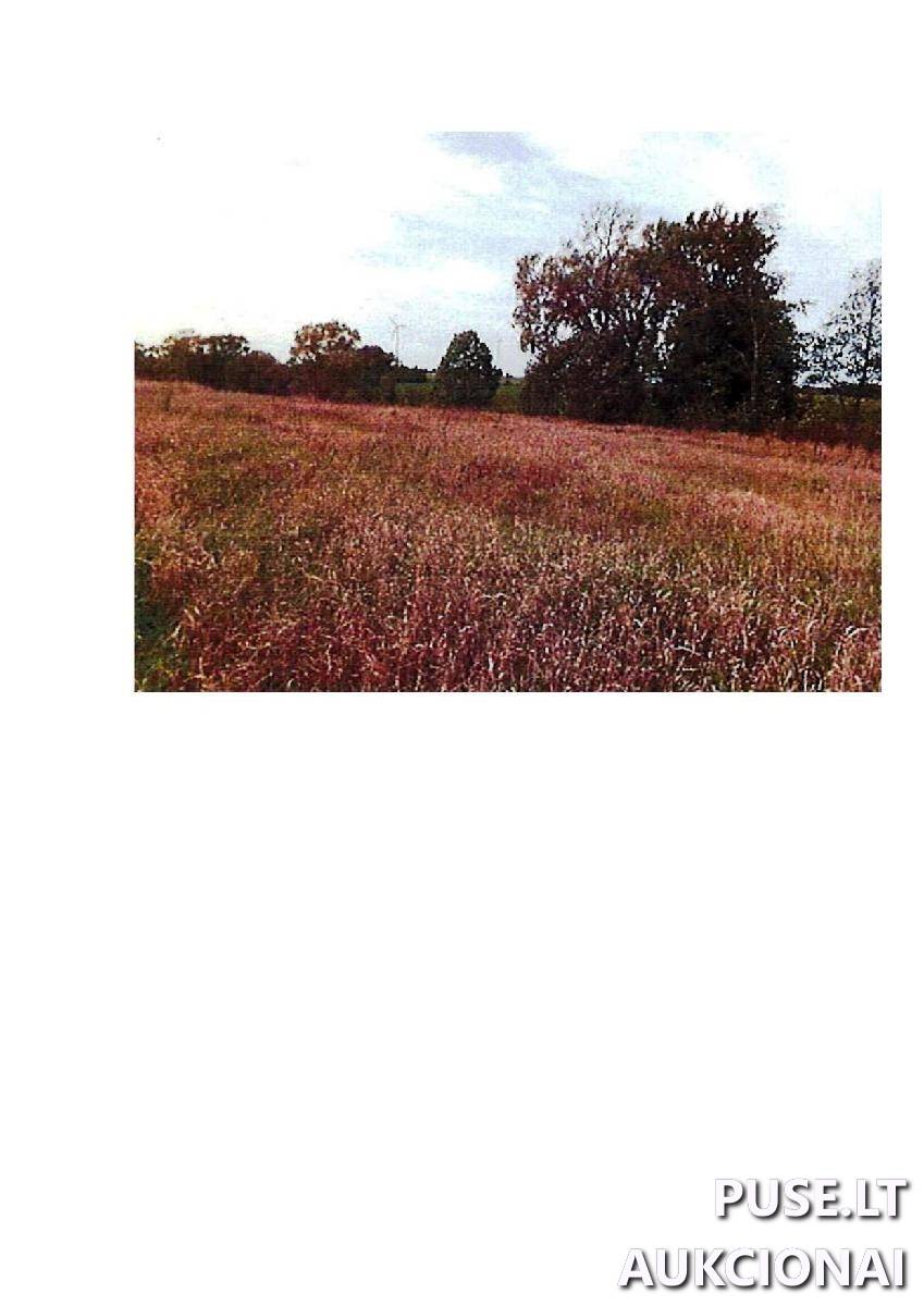 Žemės sklypas Sklypai Rodomislė, Stakliškių sen., Prienų r. sav. 5