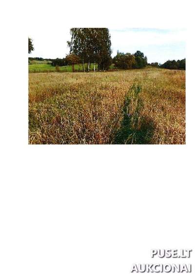7.6265 ha žemės ūkio sklypas Prienų r. sav. Rodomislės kaime, pradinė kaina 12660 EUR
