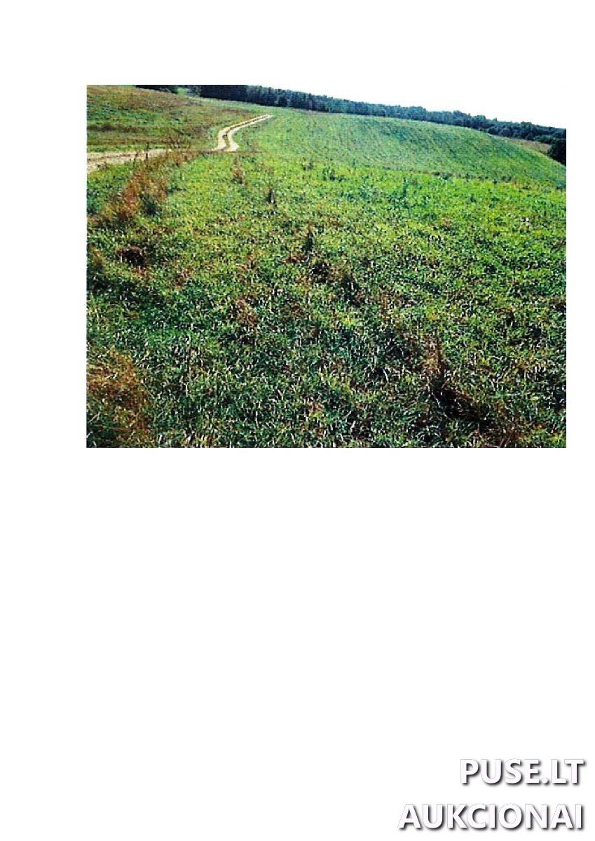 Žemės sklypas Sklypai Rodomislė, Stakliškių sen., Prienų r. sav. 3