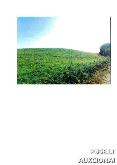Žemės ūkio paskirties sklypas Prienų r. sav., Rodomislės k., 13920 EUR pradinė kaina