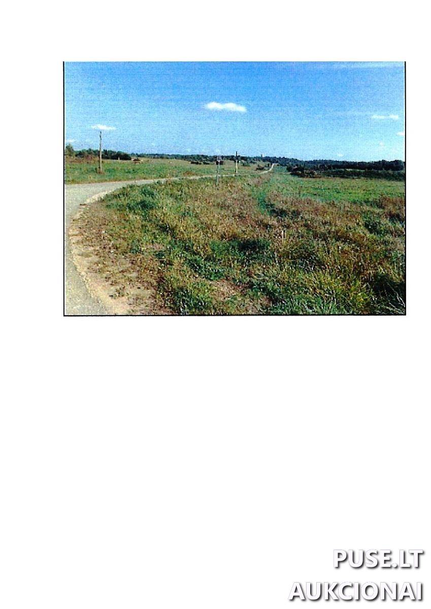 Žemės sklypas Sklypai Rodomislė, Stakliškių sen., Prienų r. sav. 1