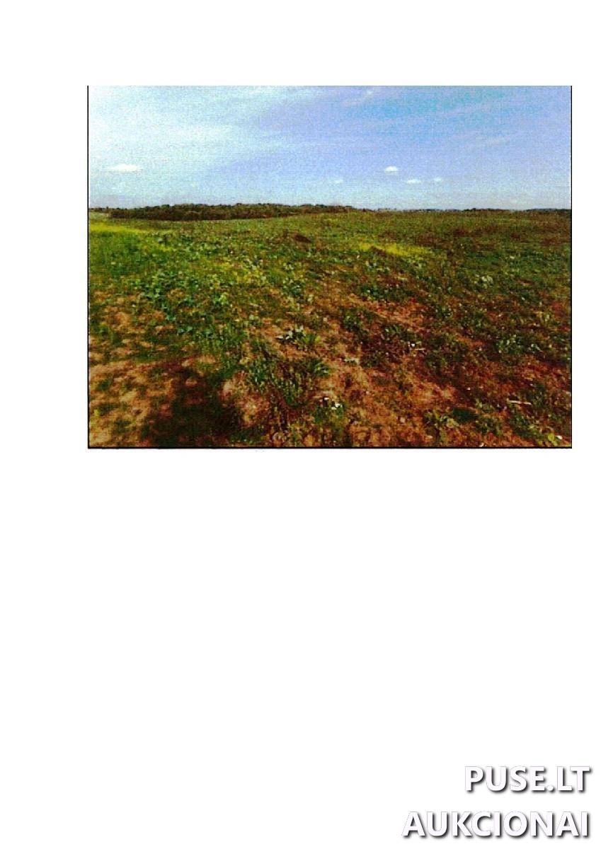 Žemės sklypas Sklypai Giriotiškės, Stakliškių sen., Prienų r. sav. 2