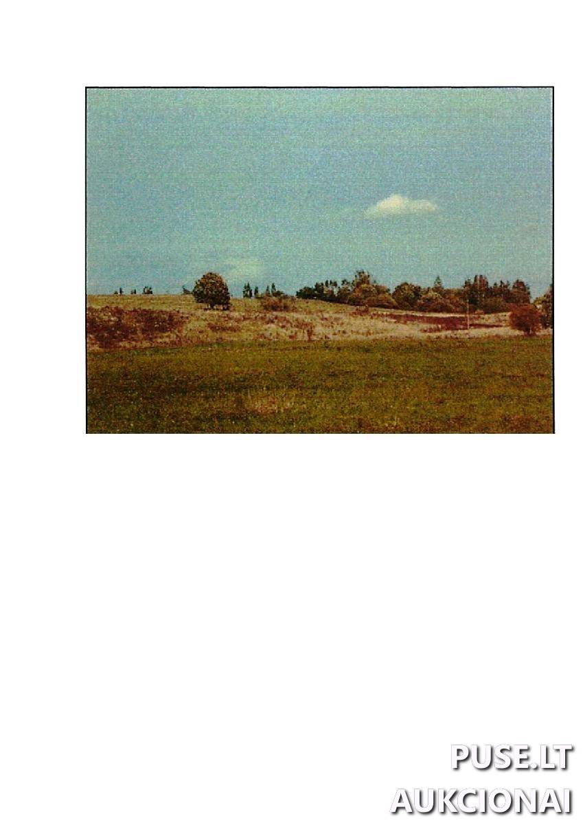 Žemės sklypas Sklypai Giriotiškės, Stakliškių sen., Prienų r. sav. 4