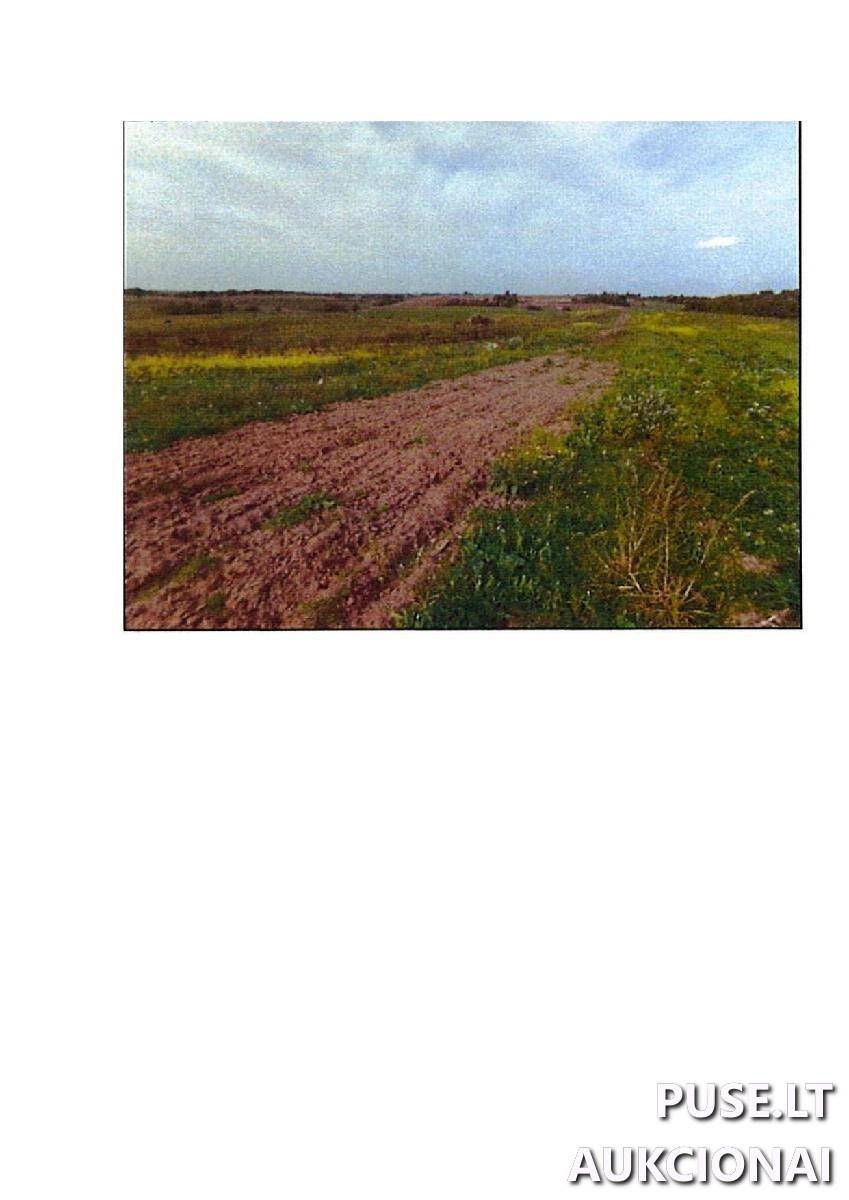 Žemės sklypas Sklypai Giriotiškės, Stakliškių sen., Prienų r. sav. 5