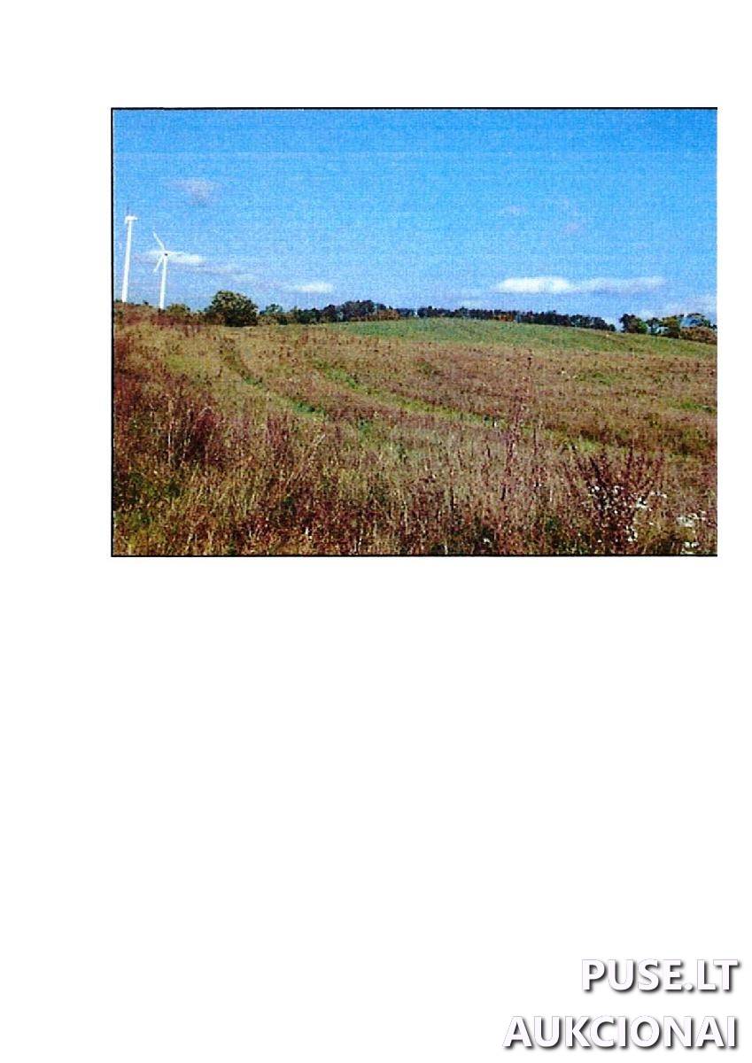 Žemės sklypas Sklypai Rodomislė, Stakliškių sen., Prienų r. sav. 1