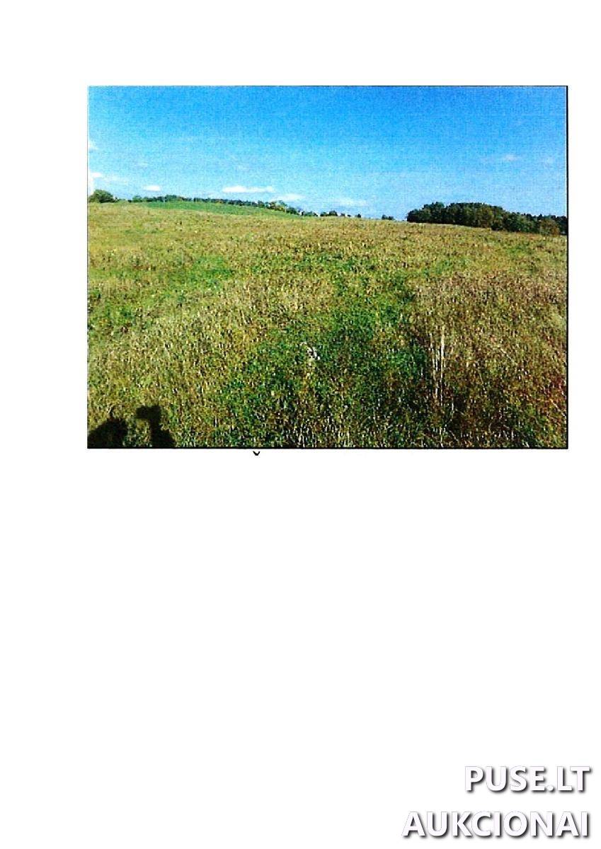 Žemės sklypas Sklypai Rodomislė, Stakliškių sen., Prienų r. sav. 2