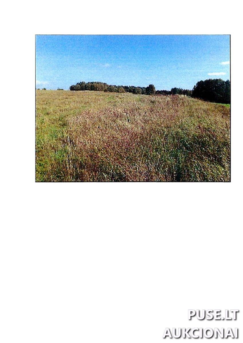 Žemės sklypas Sklypai Rodomislė, Stakliškių sen., Prienų r. sav. 3