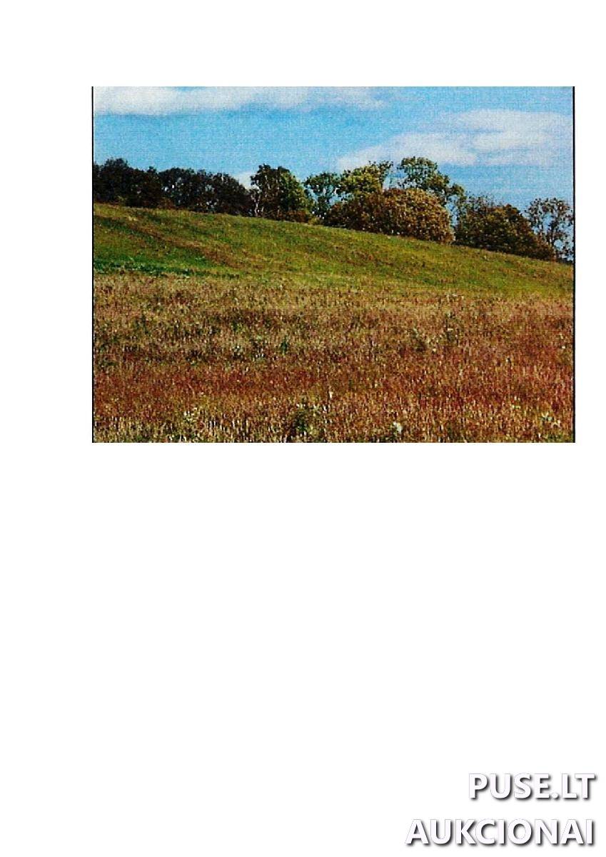 Žemės sklypas Sklypai Rodomislė, Stakliškių sen., Prienų r. sav. 4