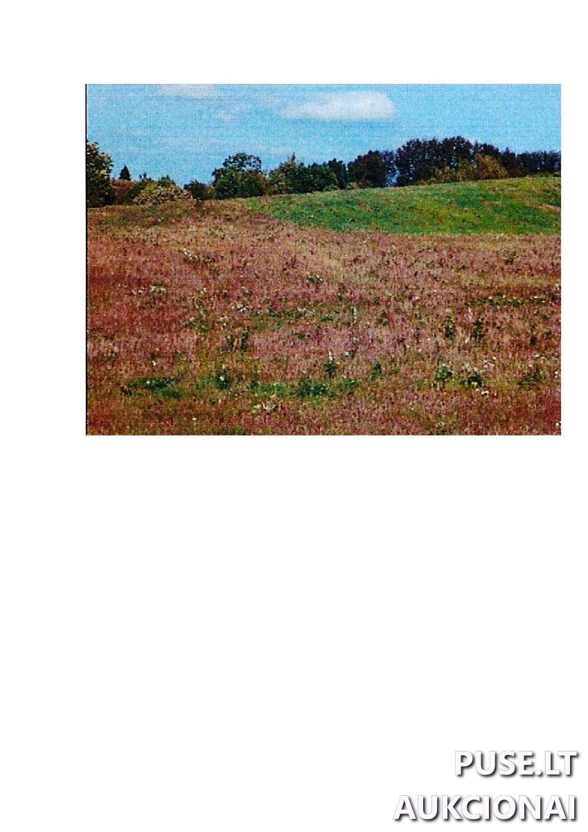 Žemės sklypas Sklypai Rodomislė, Stakliškių sen., Prienų r. sav. 5