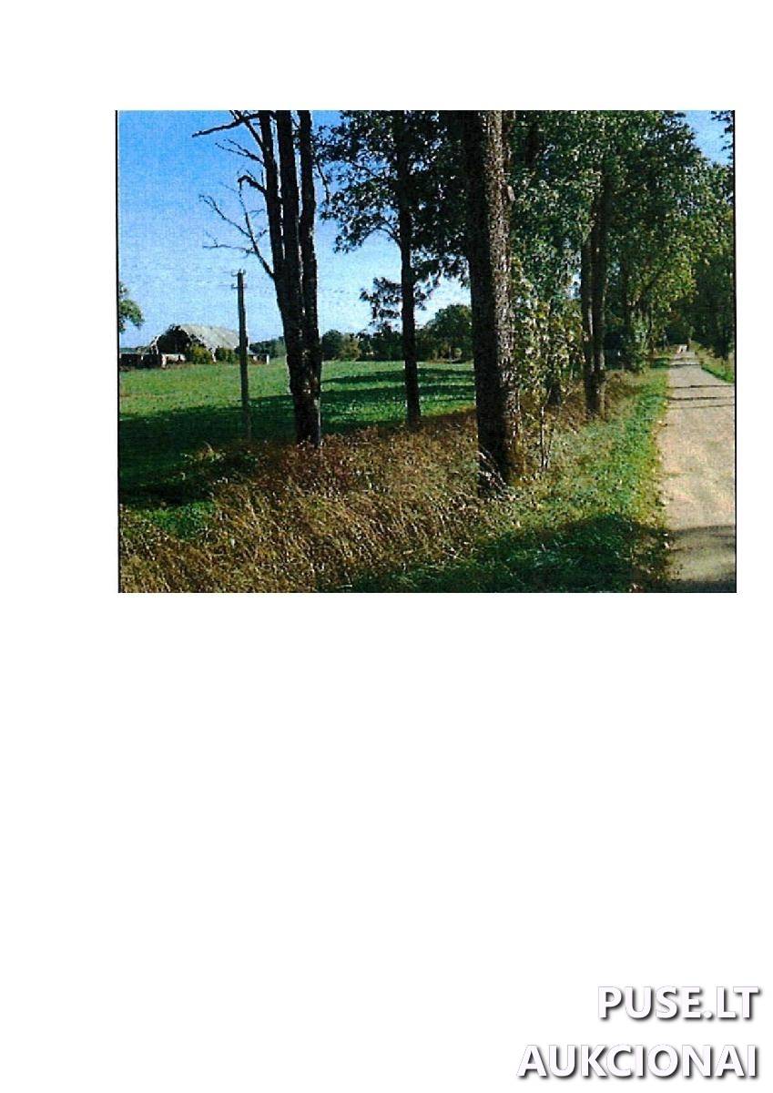 Žemės sklypas Sklypai Guostaus g. 22, 59366 Rodomislė, Stakliškių sen., Prienų r. sav. 1
