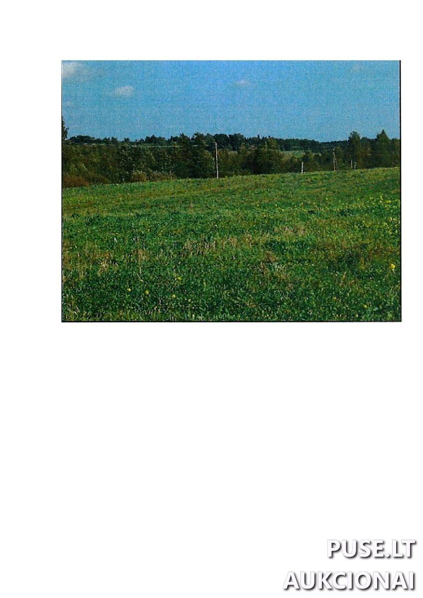 Žemės sklypas Sklypai Guostaus g. 22, 59366 Rodomislė, Stakliškių sen., Prienų r. sav. 2