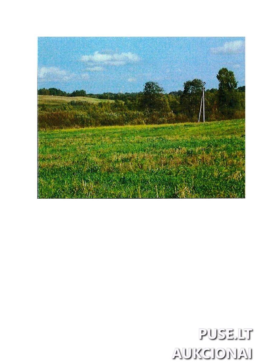 Žemės sklypas Sklypai Guostaus g. 22, 59366 Rodomislė, Stakliškių sen., Prienų r. sav. 3