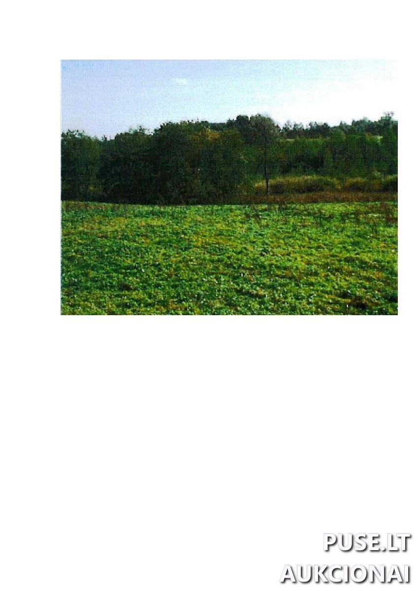 Žemės sklypas Sklypai Guostaus g. 22, 59366 Rodomislė, Stakliškių sen., Prienų r. sav. 5