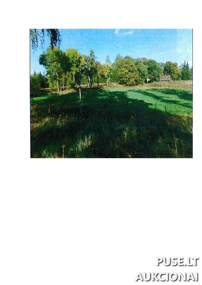 Žemės sklypas Sklypai Guostaus g. 22, 59366 Rodomislė, Stakliškių sen., Prienų r. sav. 6