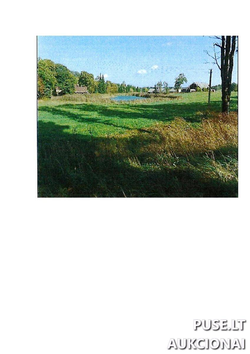 Žemės sklypas Sklypai Guostaus g. 22, 59366 Rodomislė, Stakliškių sen., Prienų r. sav. 7
