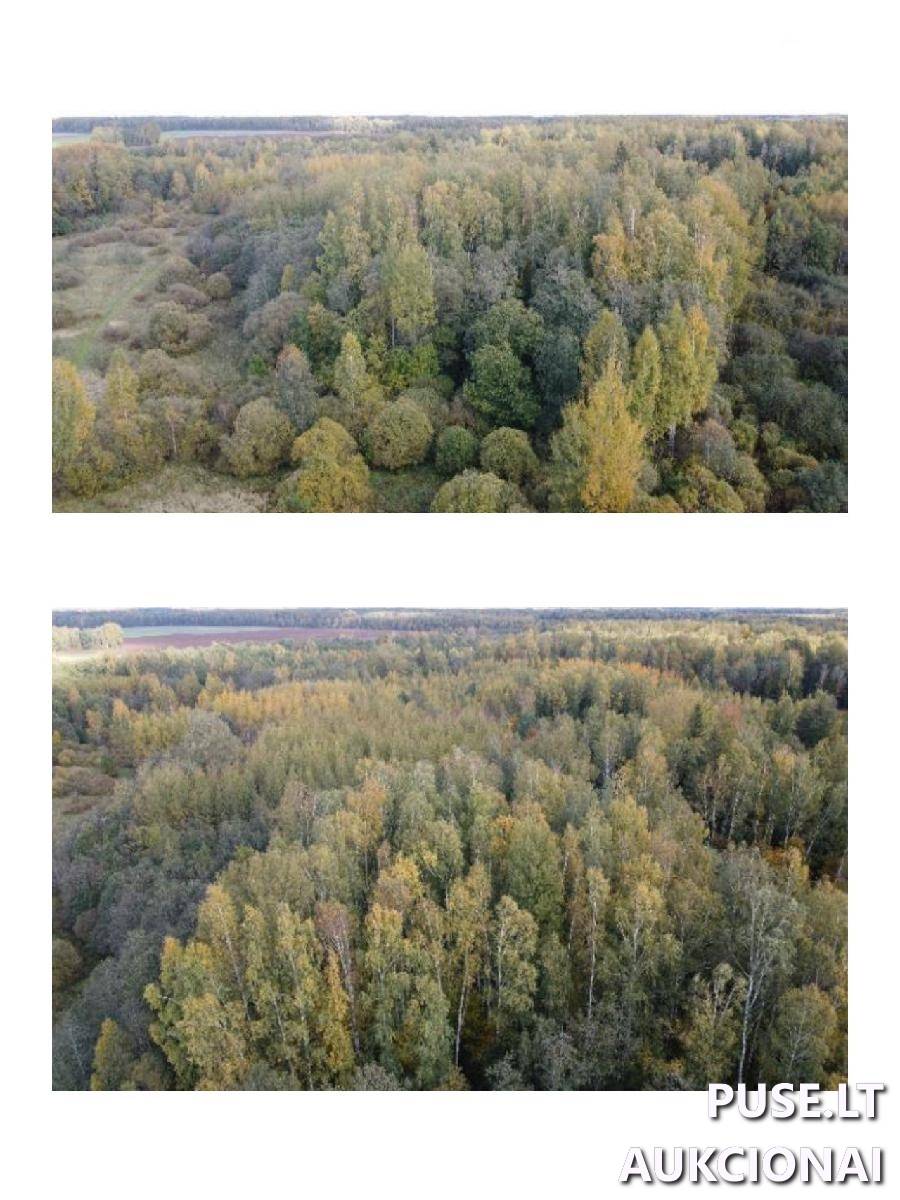 Žemės sklypas Sklypai Lapakrita, Parovėjos sen., Biržų r. sav. 2