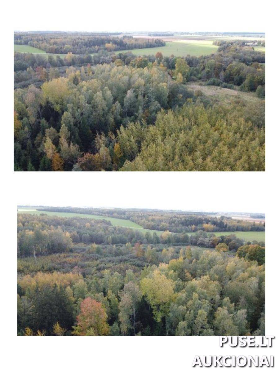 Žemės sklypas Sklypai Lapakrita, Parovėjos sen., Biržų r. sav. 3