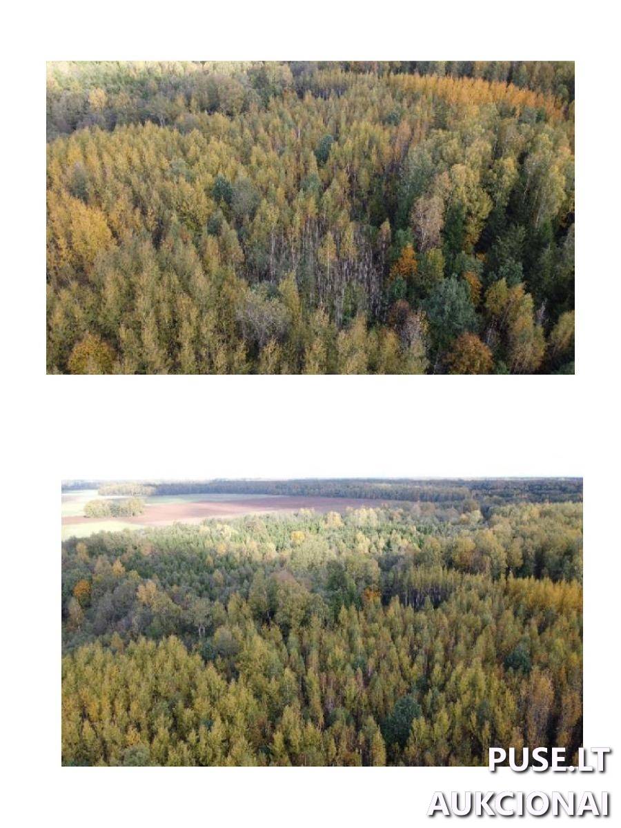 Žemės sklypas Sklypai Lapakrita, Parovėjos sen., Biržų r. sav. 4