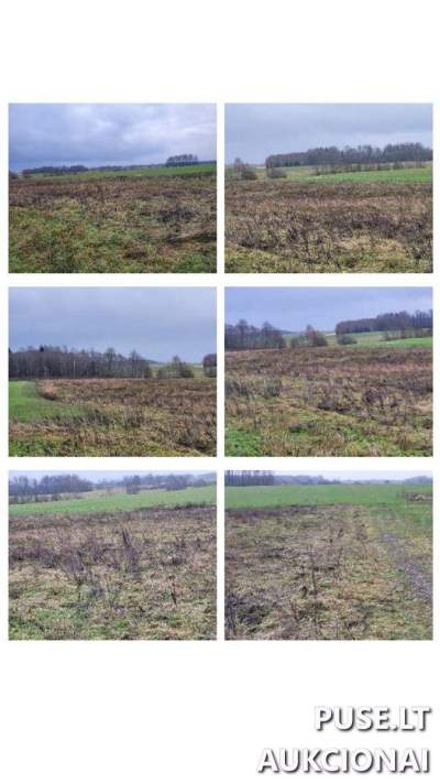 Žemės sklypo 1/2 dalis Rokiškio r. sav. Gindvilių k. aukcionas, pradinė kaina 1350 EUR