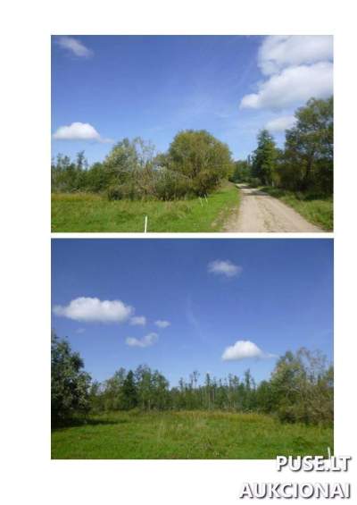 1 ha žemės ūkio paskirties sklypo dalis Zarasų rajone, Turaučiznos kaime, pradinė kaina 4480 EUR