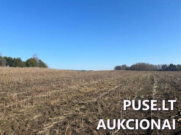 Žemės sklypas Sklypai Bagdononys, Seirijų sen., Lazdijų r. sav. 1