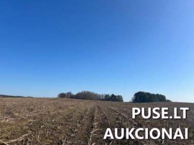 10,79 ha žemės ūkio sklypas Lazdijų r. sav., Bagdononių k. pradinė kaina 36240 EUR