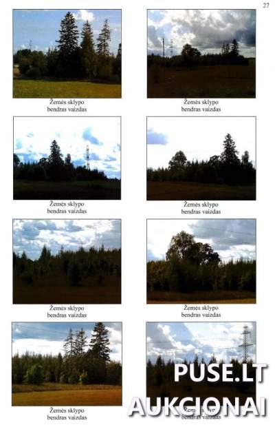 Žemės sklypas Lazdijų rajone, Šadžiūnų kaime, parduodamas aukcione nuo 5220 EUR