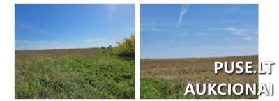 Žemės sklypas Ukmergės rajone, Antakalnio III kaime, 24320 EUR pradinė kaina
