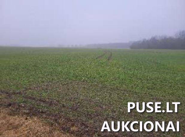 Žemės sklypas Sklypai Žeguniai, Kupiškio sen., Kupiškio r. sav. 1