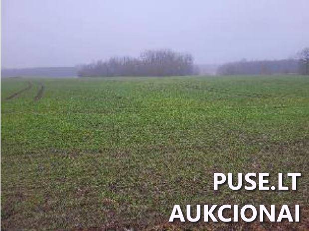 Žemės sklypas Sklypai Žeguniai, Kupiškio sen., Kupiškio r. sav. 2