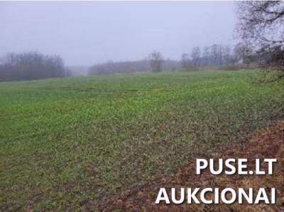 Žemės sklypas Kupiškio rajone, Žegunių kaime, pradinė kaina 5880 EUR