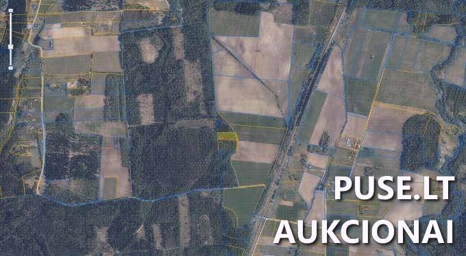 Žemės sklypas Sklypai Pumpurai, Šiluvos sen., Raseinių r. sav. 2