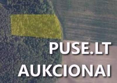 1 ha žemės ūkio paskirties sklypas Raseinių rajone, Pumpurų kaime, pradinė kaina 5376 EUR